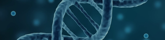 Bioactive Polysaccharides